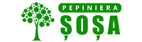 Pepiniera Șoșa